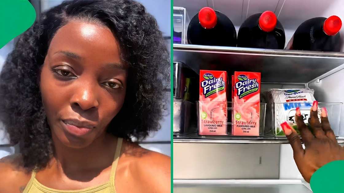A TikTokker showed off her weekly groceries A TikTokker showed off her weekly groceries