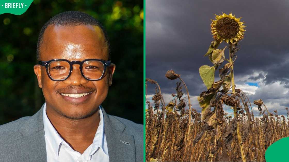 Wandile Sihlobo