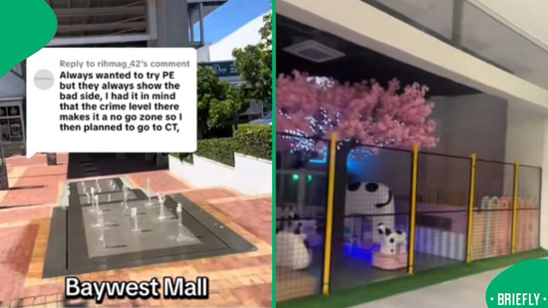 A viral video displayed the tourist’s reaction as he explored stores and highlighted South Africa’s modern malls A viral video displayed the tourist’s reaction as he explored stores and highlighted South Africa’s modern malls