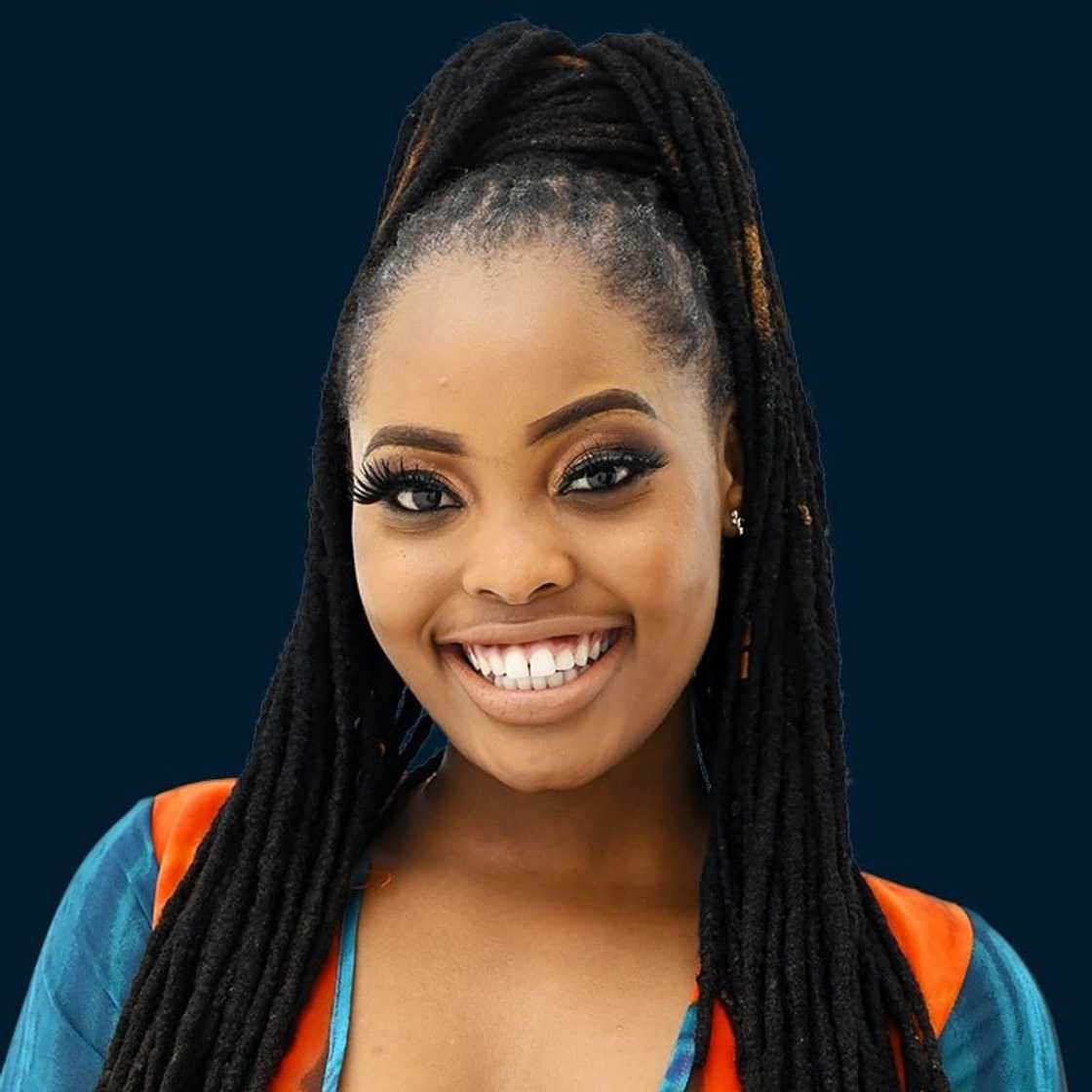 Idols season 17 Idols season 17