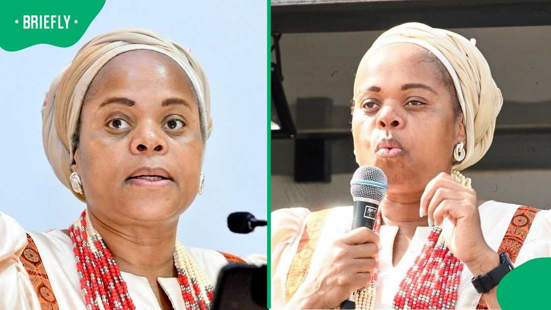 Limpopo Premier Dr Phophi Ramathuba slammed businessman Lawrence Mudzinganyama