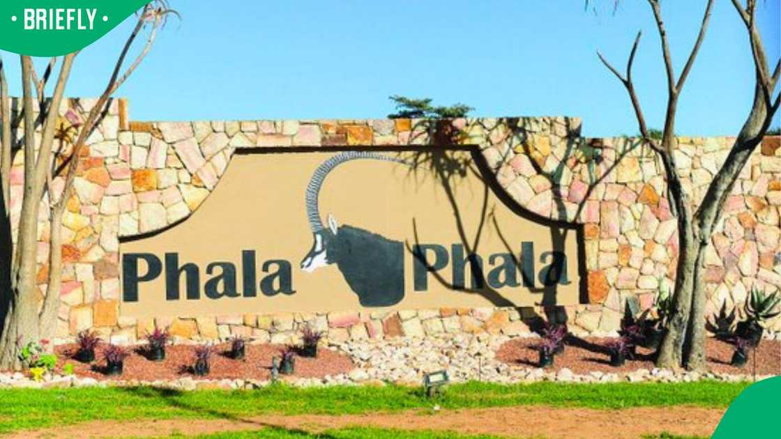 MamaJoy's post came hours before the Constitutional Court ruled on a matter related to Phala Phala MamaJoy's post came hours before the Constitutional Court ruled on a matter related to Phala Phala