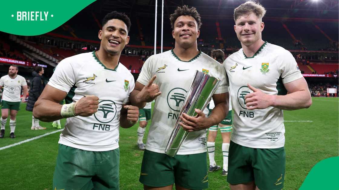 Springboks, South Africa, Rugby Championship