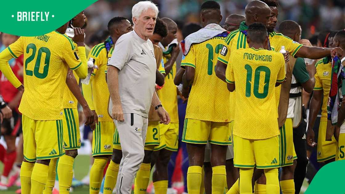 Hugo Broos should stay on Bafana Bafana coach