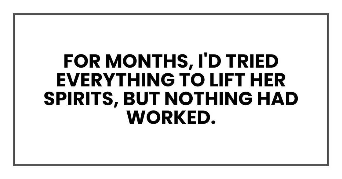 For months, I'd tried everything to lift her spirits, but nothing had worked. For months, I'd tried everything to lift her spirits, but nothing had worked.