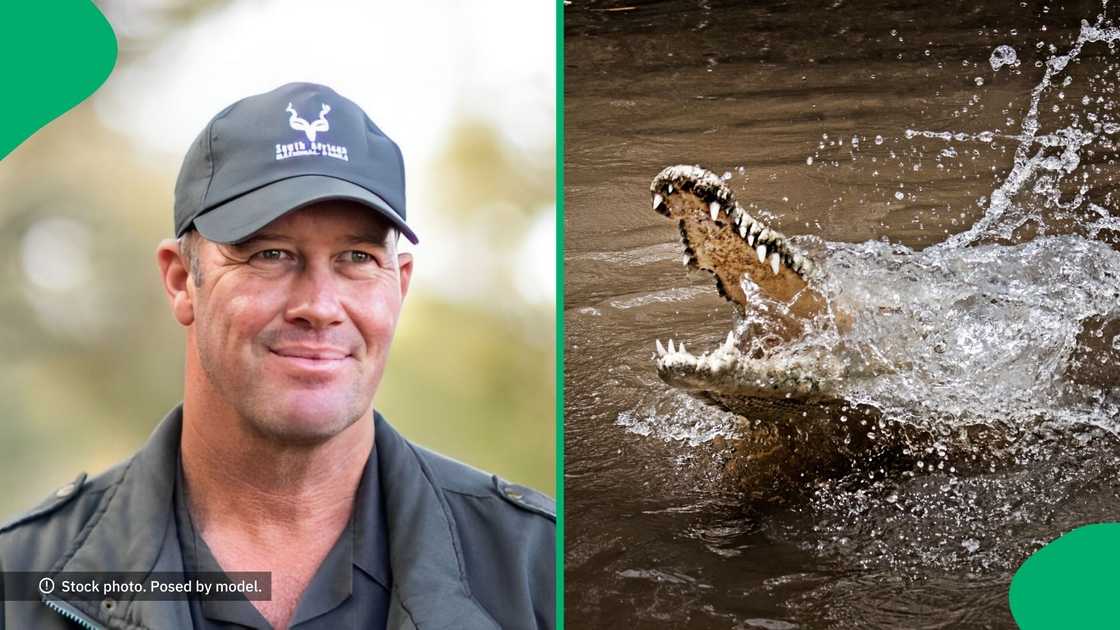 A well-experienced Kruger Park trail guide survived a crocodile attack.