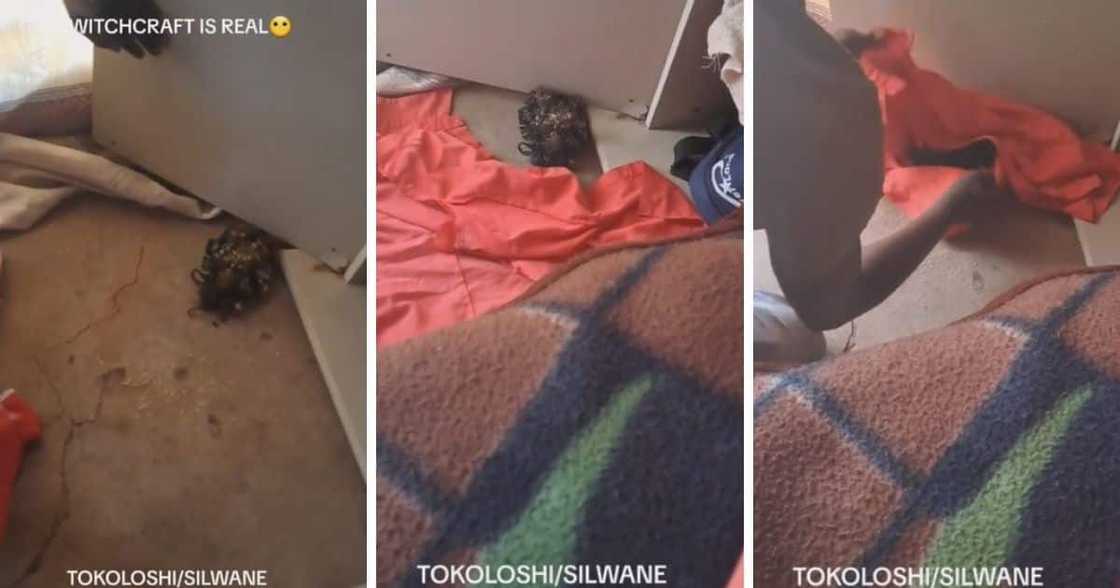 Group of men capture an unknown creature in video they think could be from witchcraft Group of men capture an unknown creature in video they think could be from witchcraft