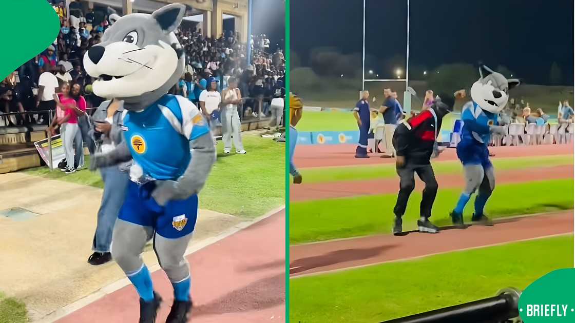 CPUT mascots’ dance moves leave Mzansi amused in a TikTok video.