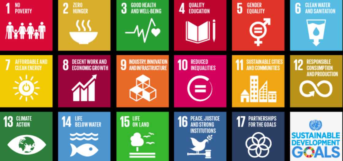 UN SDG Media Compact, Briefly News