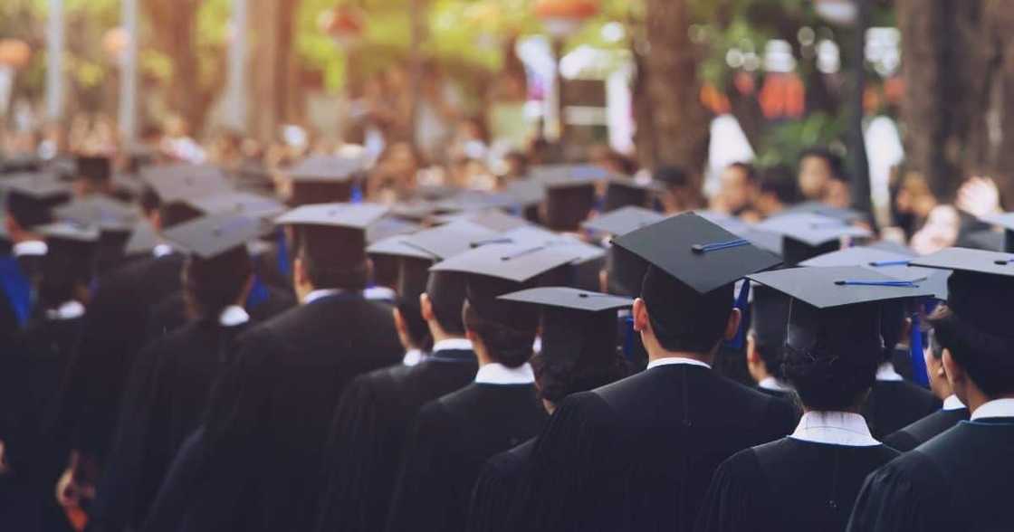 Poll: 79% of Briefly readers think qualifications are needed for politics Poll: 79% of Briefly readers think qualifications are needed for politics