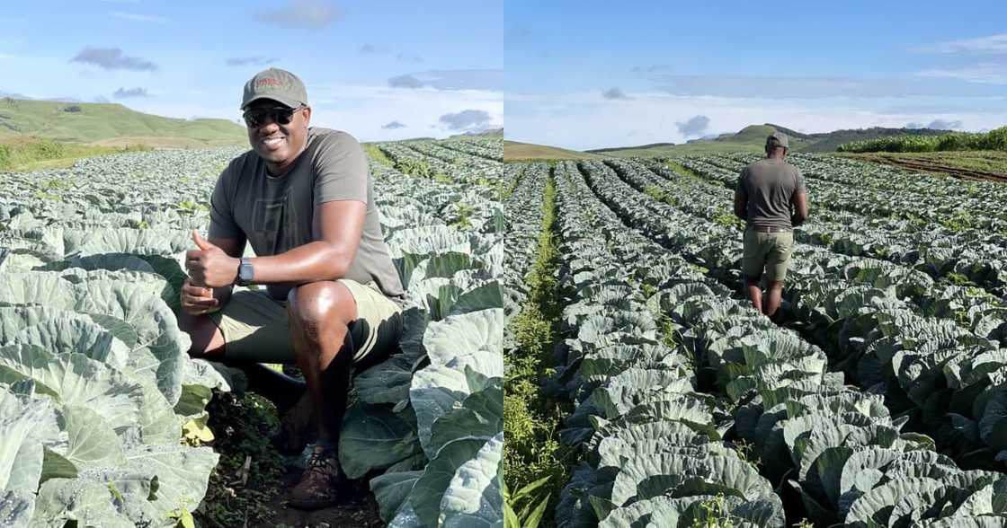SA Man Flexes Farming Skills: "It’s the Quality of the Produce for Me" SA Man Flexes Farming Skills: "It’s the Quality of the Produce for Me"