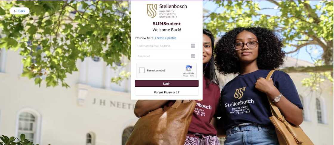 University of Stellenbosch online application University of Stellenbosch online application