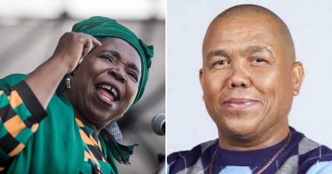 Nkosazana Dlamini-Zuma and Mervyn Dirks disobeyed ANC orders Nkosazana Dlamini-Zuma and Mervyn Dirks disobeyed ANC orders