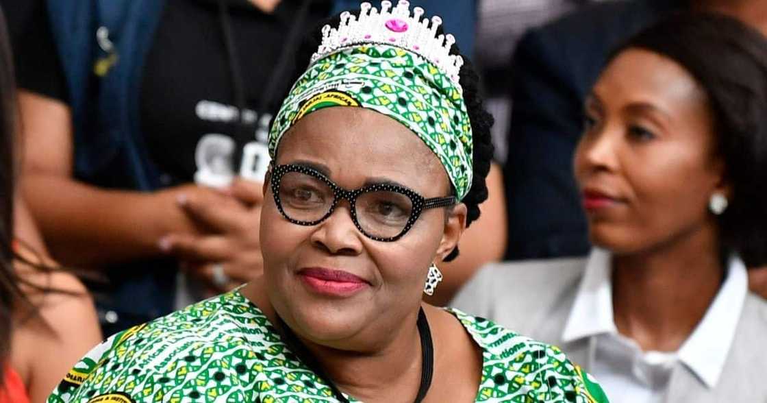 Pemmy Majodina drops decision to open assault case against PAP member Pemmy Majodina drops decision to open assault case against PAP member