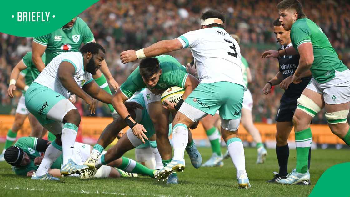 Ox Nche, Springboks, South Africa, Ireland, Frans Malherbe