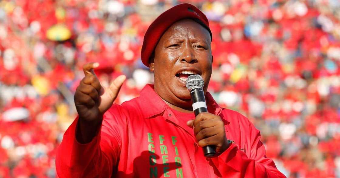 Former Olympic swimming champion Roland Schoeman has sharply criticized Economic Freedom Fighters (EFF) leader Julius Malema for singing the controversial struggle song “Kill the Boer, Kill the Farmer” during South Africa’s Human Rights Day commemoration. Former Olympic swimming champion Roland Schoeman has sharply criticized Economic Freedom Fighters (EFF) leader Julius Malema for singing the controversial struggle song “Kill the Boer, Kill the Farmer” during South Africa’s Human Rights Day commemoration.