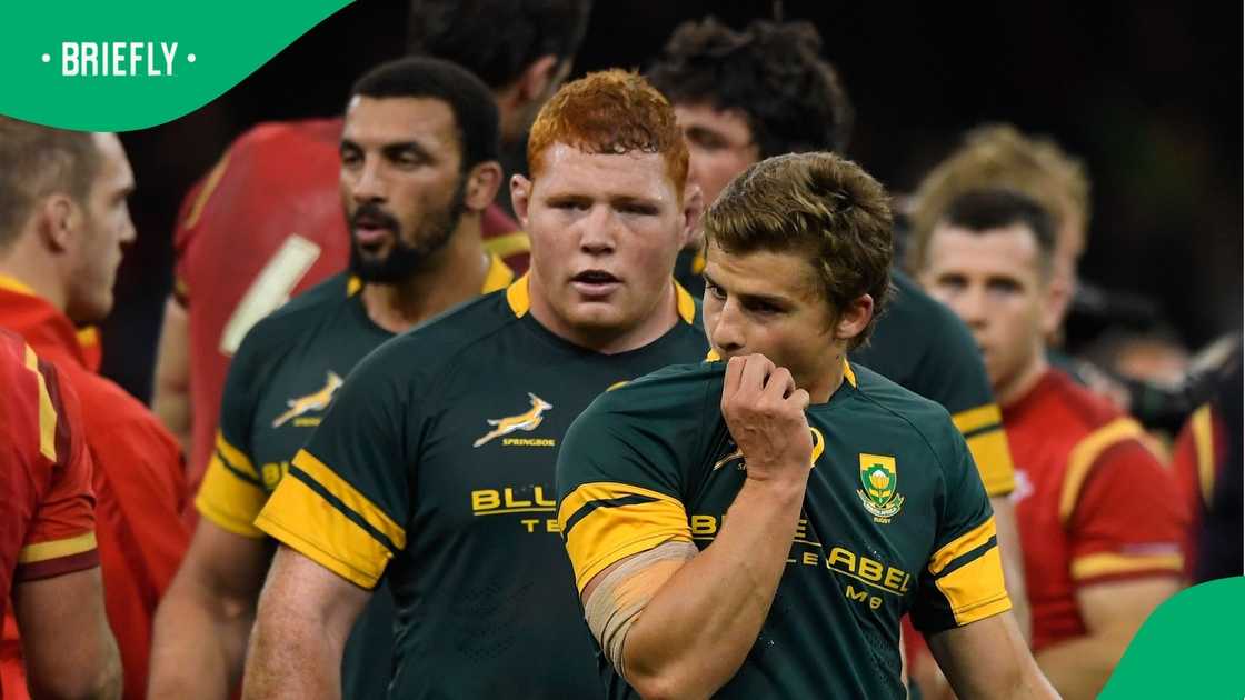 Springboks, South Africa, Rugby Championship, Steven Kitshoff Springboks, South Africa, Rugby Championship, Steven Kitshoff