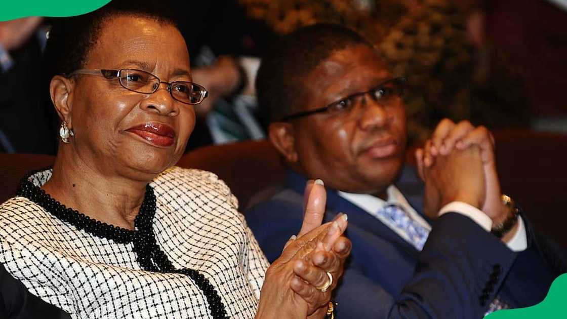 Fikile Mbalula's net worth Fikile Mbalula's net worth