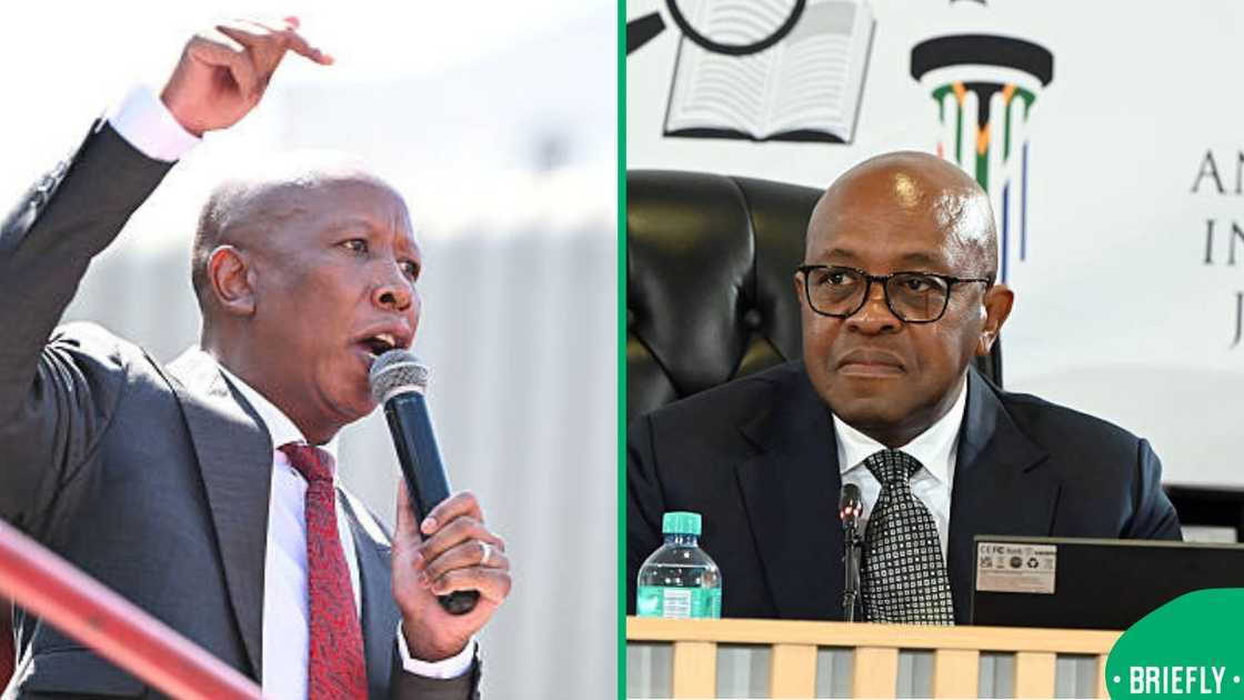 Malema and Madlanga