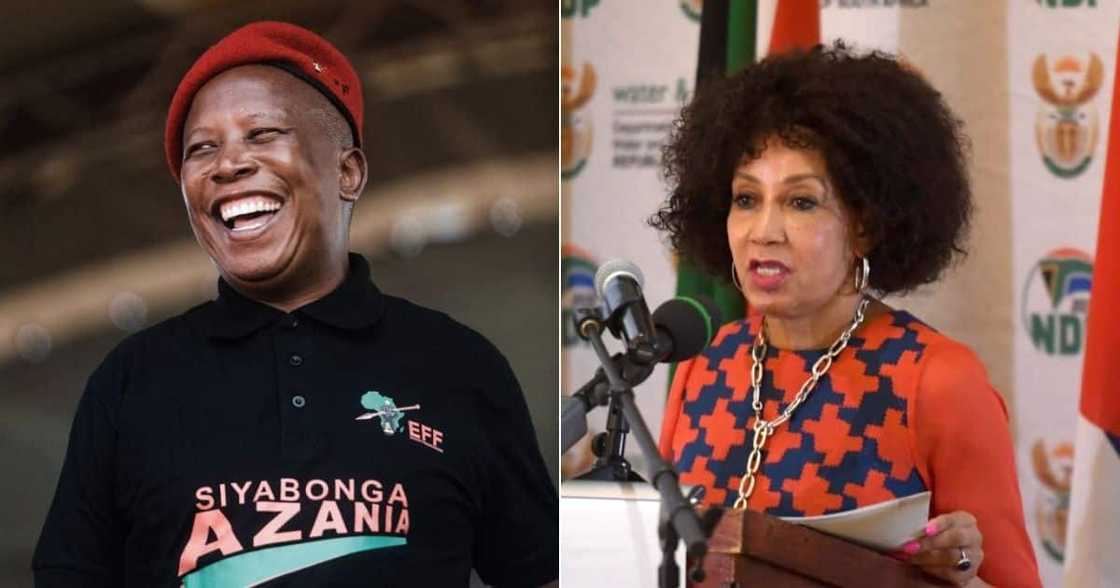 Lindiwe Sisulu, Economic Freedom Fighters, EFF, Raymond Zondo, Acting Chief Justice, South Africa Lindiwe Sisulu, Economic Freedom Fighters, EFF, Raymond Zondo, Acting Chief Justice, South Africa