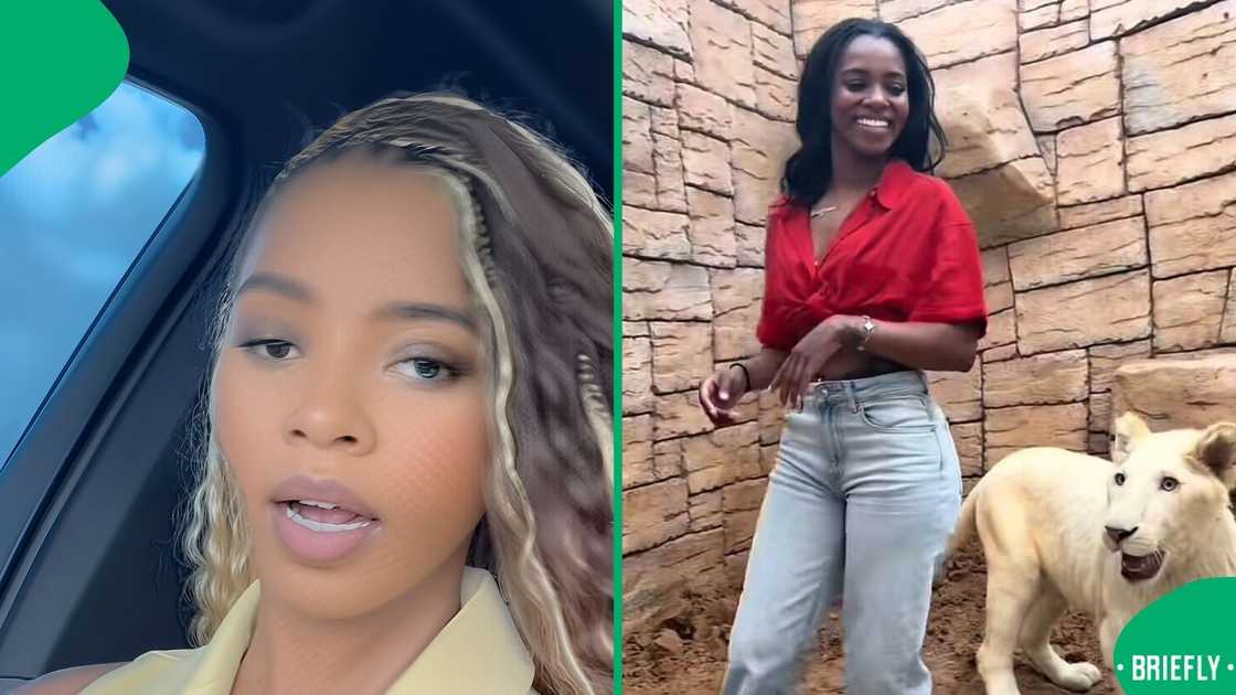 An American woman's lion den encounter shocked many online users. An American woman's lion den encounter shocked many online users.