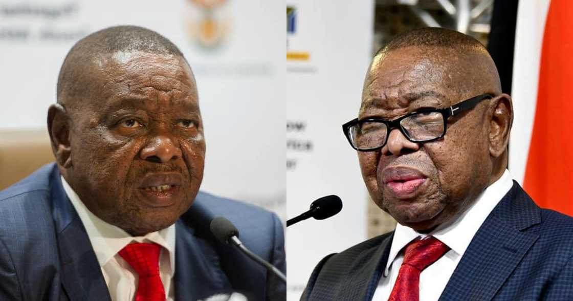 Nzimande, condemns murder, Fort Hare student, Women's Month Nzimande, condemns murder, Fort Hare student, Women's Month