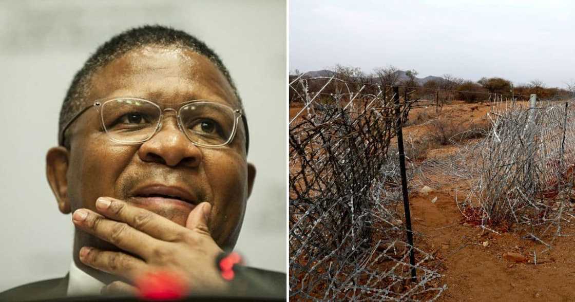 Mbalula said the ANC is aware about illegal migrants Mbalula said the ANC is aware about illegal migrants