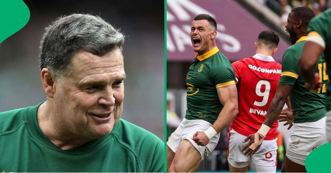 Springboks coach Rassie Erasmus returned to manage the national team Springboks coach Rassie Erasmus returned to manage the national team