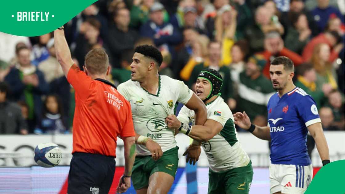 Springboks, South Africa, Cheslin Kolbe, Sacha Feinberg-Mngomezulu