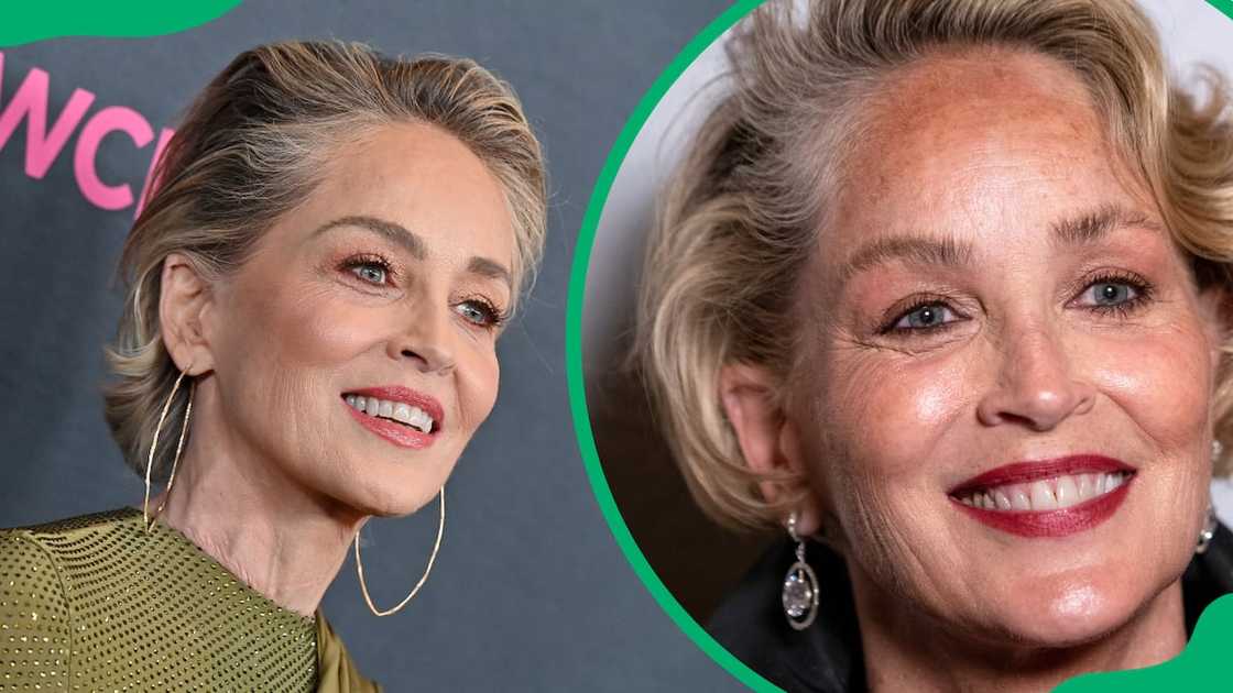 Sharon Stone's salary