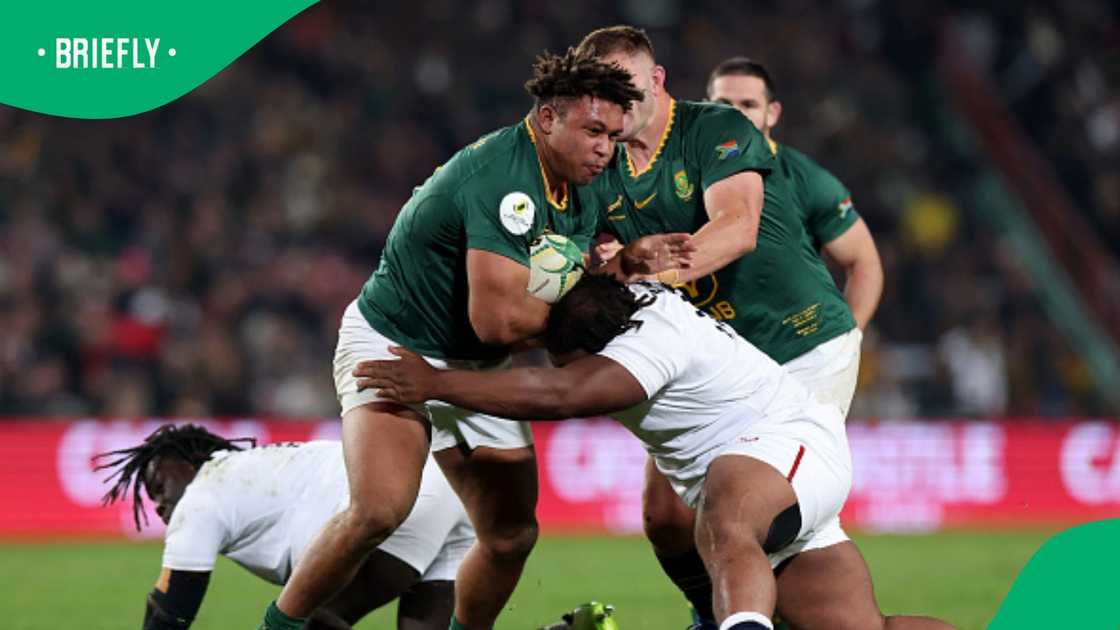 Springboks, South Africa, Zachary Porthen, nations Championship, England Springboks, South Africa, Zachary Porthen, nations Championship, England