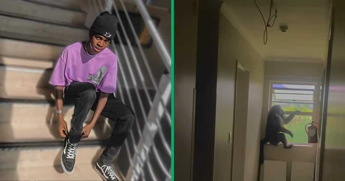 A TikTok video shows a young man being chased by a baboon. A TikTok video shows a young man being chased by a baboon.