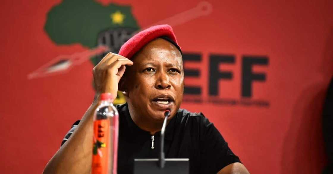 Julius Malema, EFF, replace Die Stem, '"Suid Afrika baie mooi"