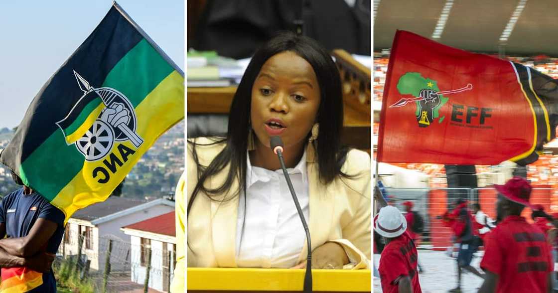 Former Democratic Alliance (DA) National Spokesperson Phumzile van Damme speaks during the 2017 State of the Nation Address Former Democratic Alliance (DA) National Spokesperson Phumzile van Damme speaks during the 2017 State of the Nation Address