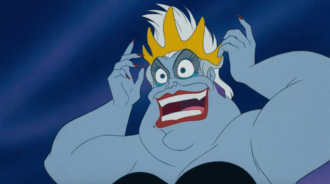 Ursula Ursula