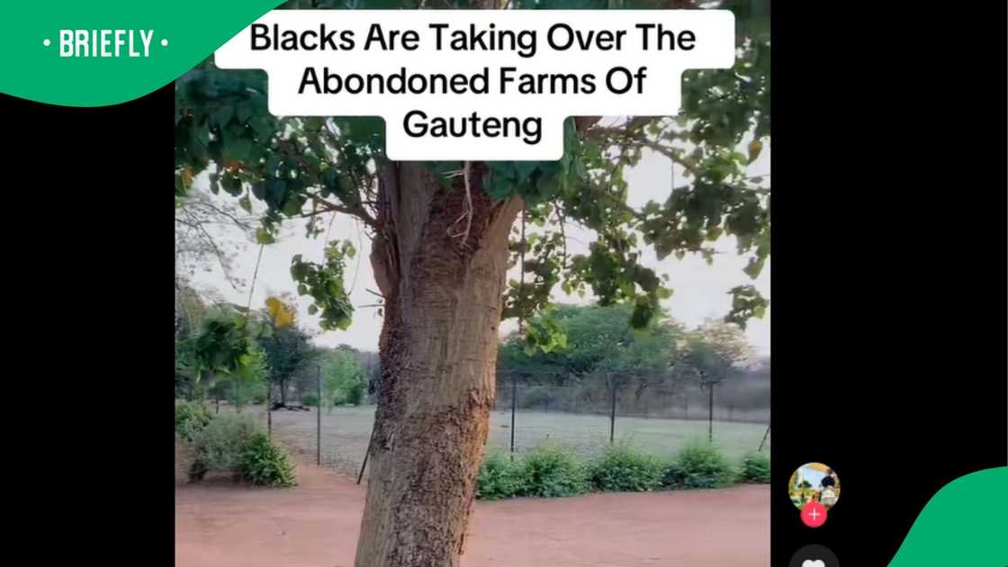 A woman shared a viral post on TikTok. A woman shared a viral post on TikTok.