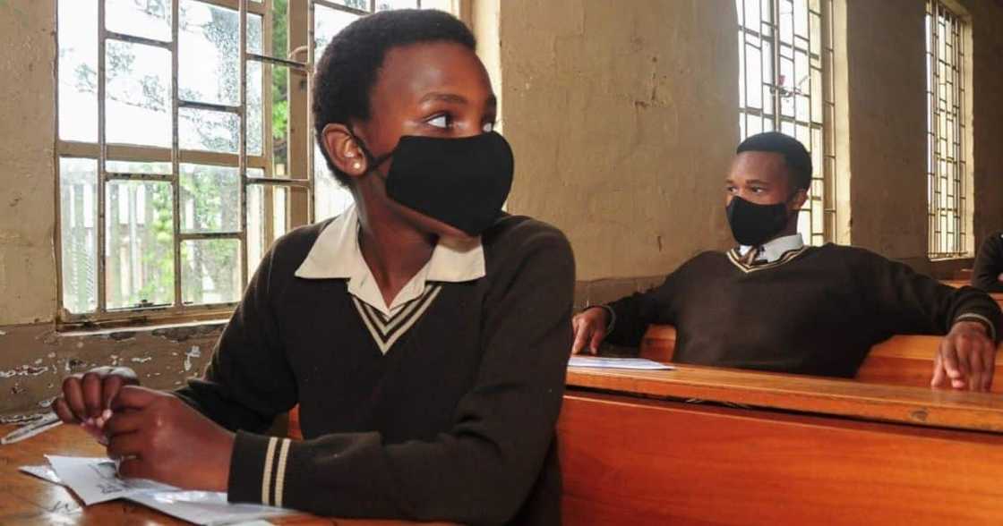 DA, Democratic Alliance, Department of Basic Education, education, rotational learning, Gauteng High Court DA, Democratic Alliance, Department of Basic Education, education, rotational learning, Gauteng High Court