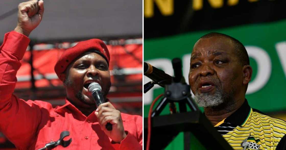 Floyd Shivambu dragged Energy Minister Gwede Mantashe online Floyd Shivambu dragged Energy Minister Gwede Mantashe online