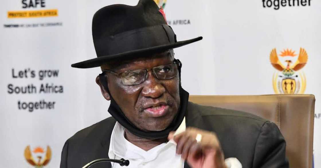 Police Minister Bheki Cele, Potholes, Hijackings, Western Cape. Democratic Alliance, Crime