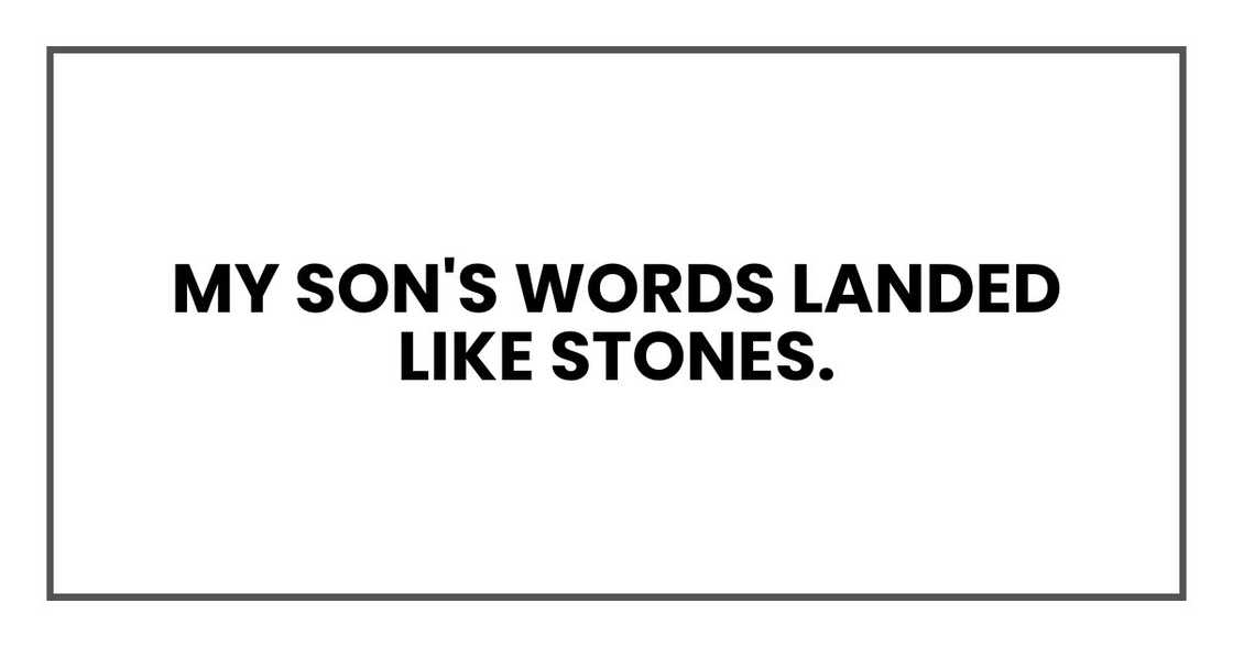 My son's words landed like stones. My son's words landed like stones.