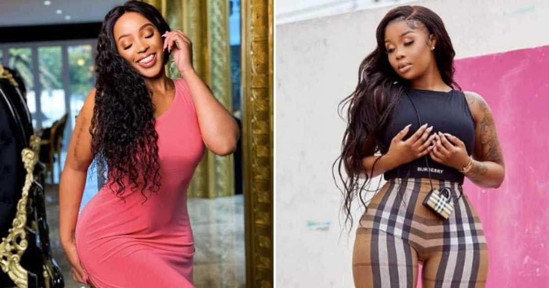 2022 celebrity feuds 2022 celebrity feuds
