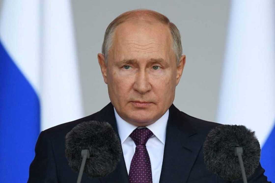 Putin Putin