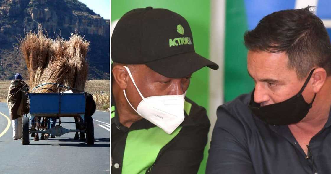 ActionSA and DA slam donkey cart project ActionSA and DA slam donkey cart project