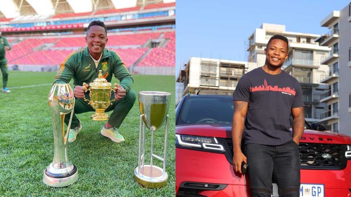 list of springbok rugby players list of springbok rugby players