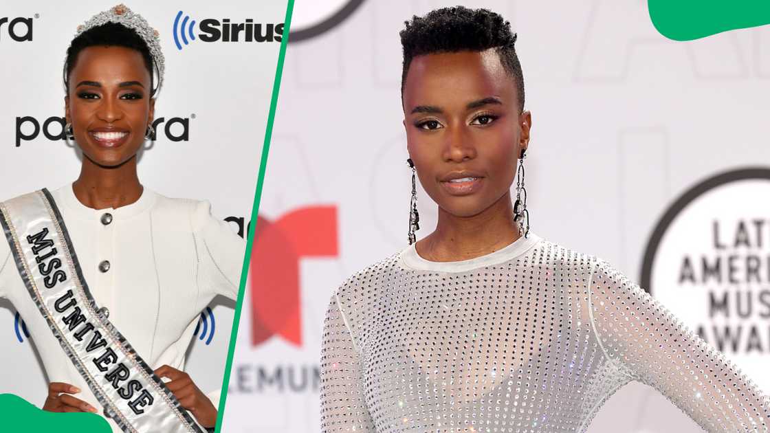Miss Universe 2019 Zozibini Tunzi