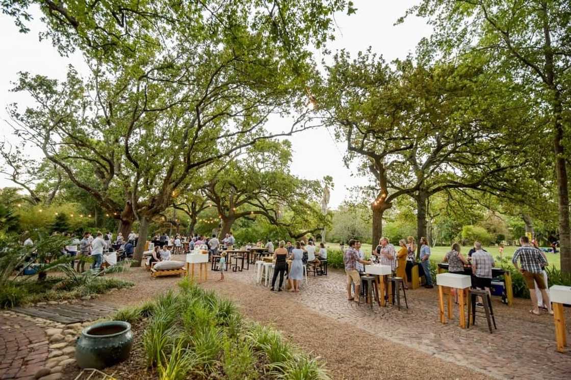 15 breathtaking forest wedding venues Cape Town