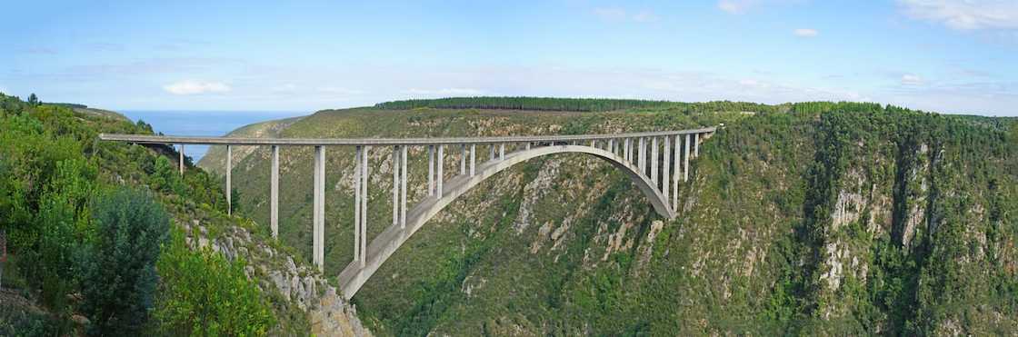 South African bungee jump South African bungee jump