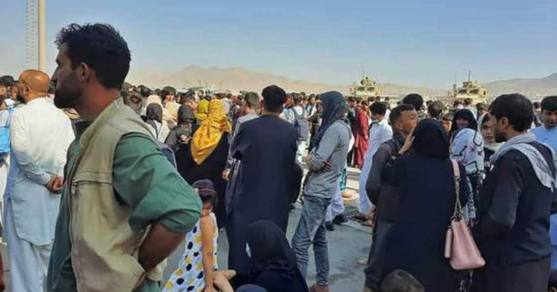 Taliban, Presidential Palace, Afghanistan, Terrorist group, Insurgents Taliban, Presidential Palace, Afghanistan, Terrorist group, Insurgents