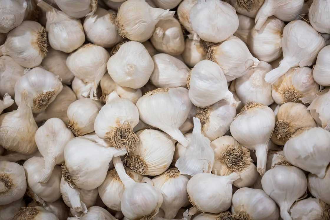 best alkaline foods best alkaline foods