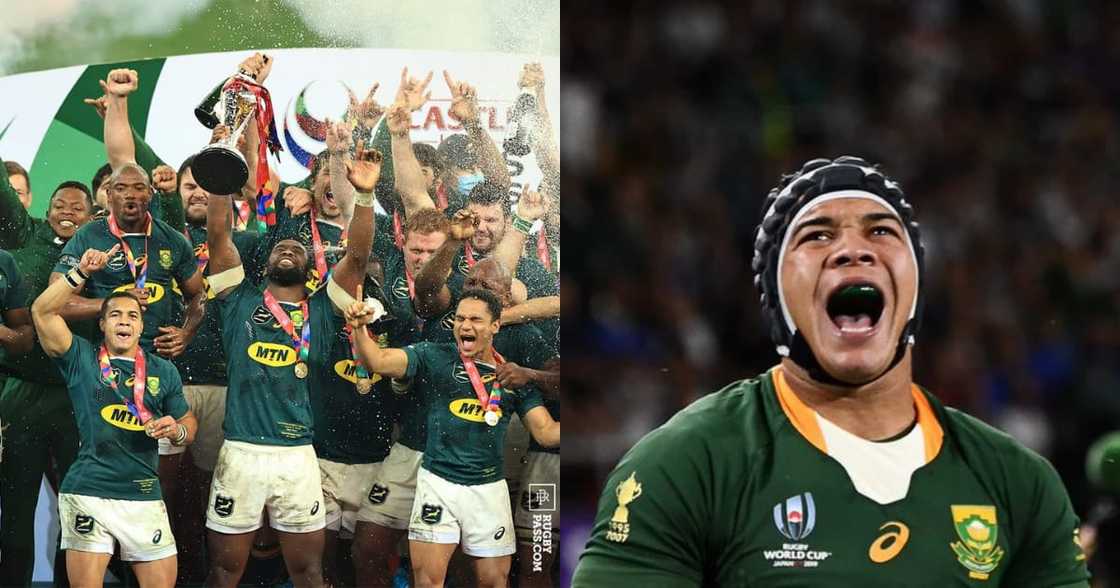 Springboks, win, series, British and Irish Lions, final minutes Springboks, win, series, British and Irish Lions, final minutes